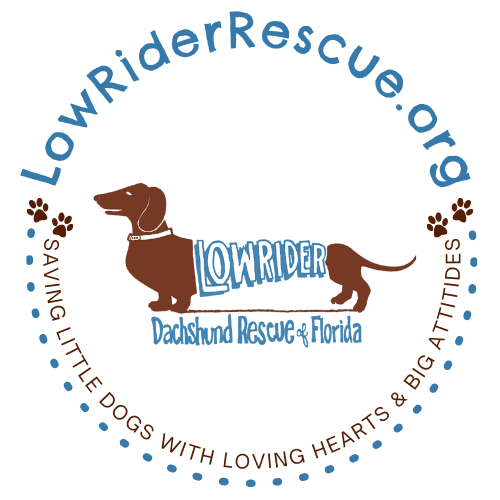 logo for Low Rider Dachshund Rescue Florida that says "LowRiderRescue.org Saving little dogs with living hearts & big attitudes" in a circle around the logo