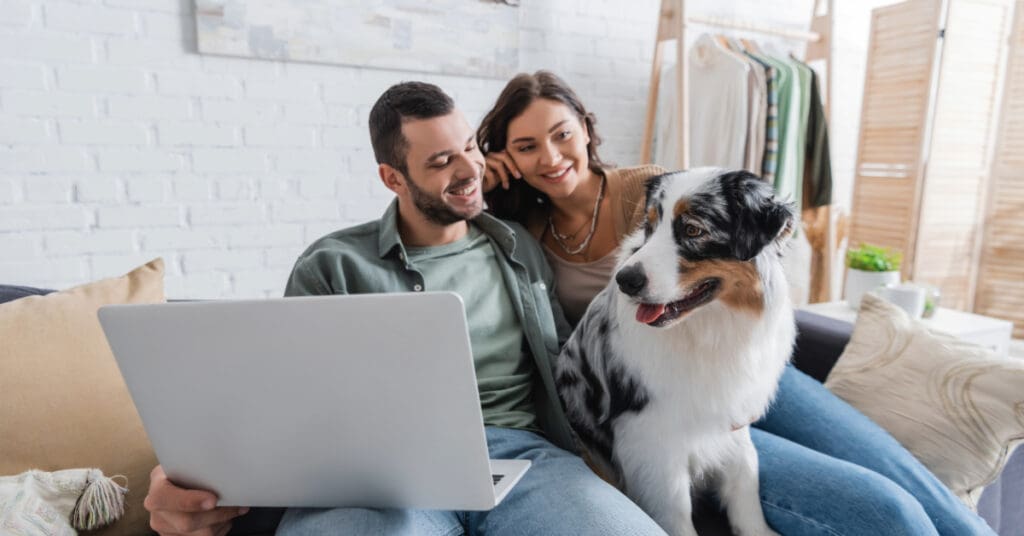 young couple with a laptop looking at an Australian shepherd