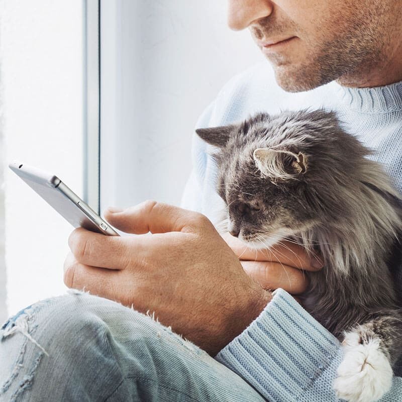 male sitting by window holding fluffy brown cat and using smartphone
